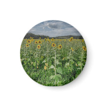"Solrosfält" Magnet