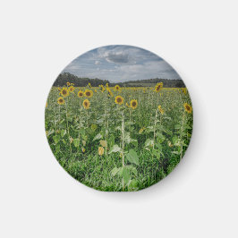 "Solrosfält" Magnet