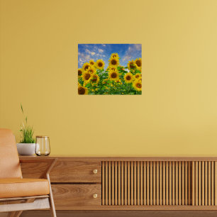 Solrosfält med blommor poster