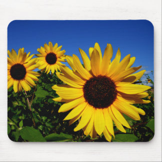 Solrosfält Mousepad Musmatta