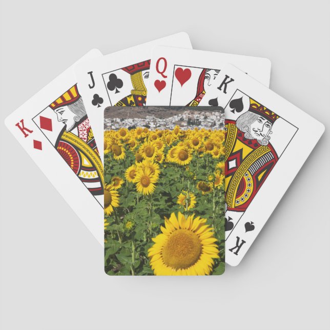 Solrosfält, vit kulle stad Bornos Spel Kort (Baksidan)