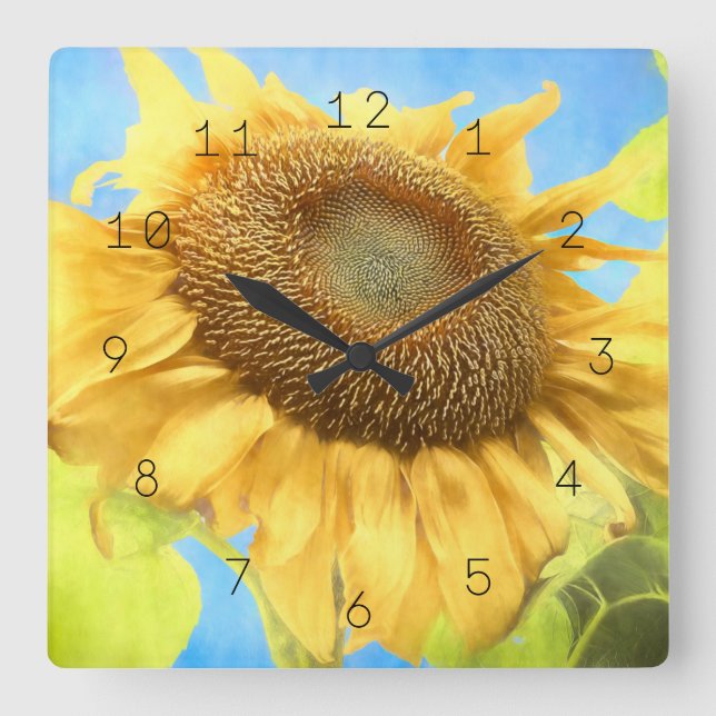 Solrosfärgen Land Gult Blue Rustic Fyrkantig Klocka (Framsida)