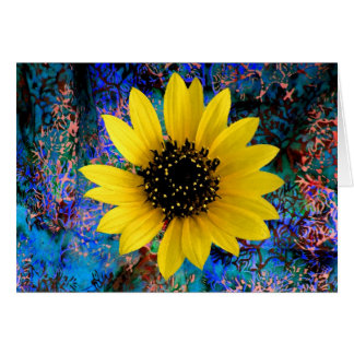 Solrosflöte OBS Kort