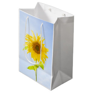 Solrosfoto