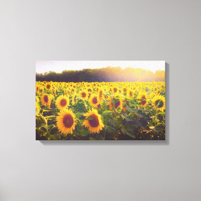 Solrosfoto Canvas (Framsida)
