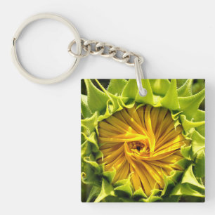 Solrosfoto för elegantens gult