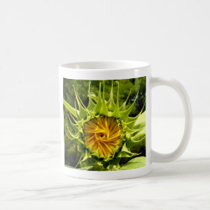 Solrosfoto för elegantens gult kaffemugg