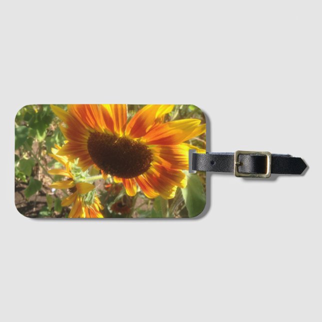 Solrosfoto för gult och orange bagagebricka (Framsida horisontal)