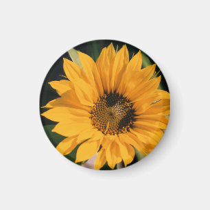 Solrosfoto Magnet