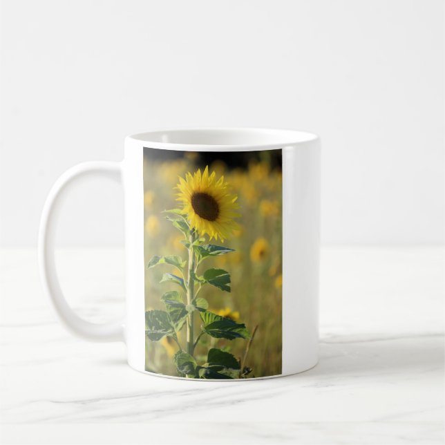 Solrosfoto med en Gult Kaffemugg (Vänster)