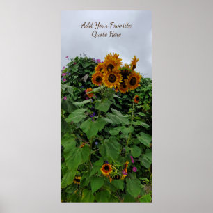 Solrosfoto och morgonfotografi, lägg till offert poster