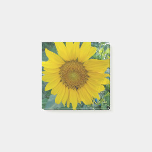 Solrosfoto Post-it Block