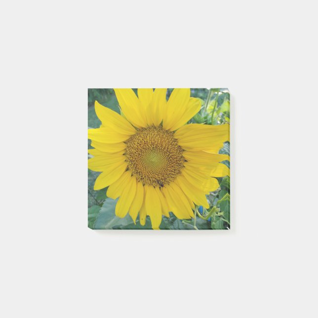 Solrosfoto Post-it Block (Framsida)
