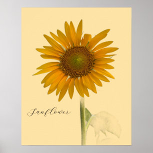 Solrosfoto Poster