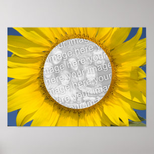 Solrosfoto Poster