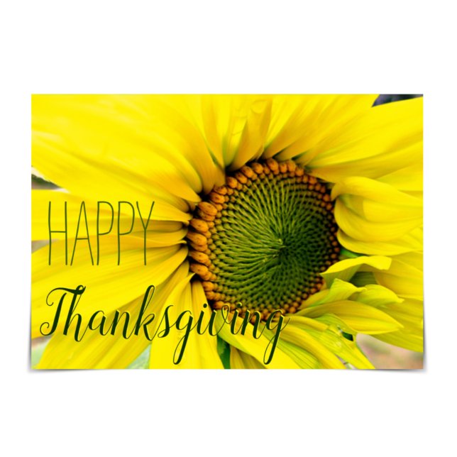 Solrosfrihetskort "Happy thanksgiving" Kort (Skapare uppladdad)