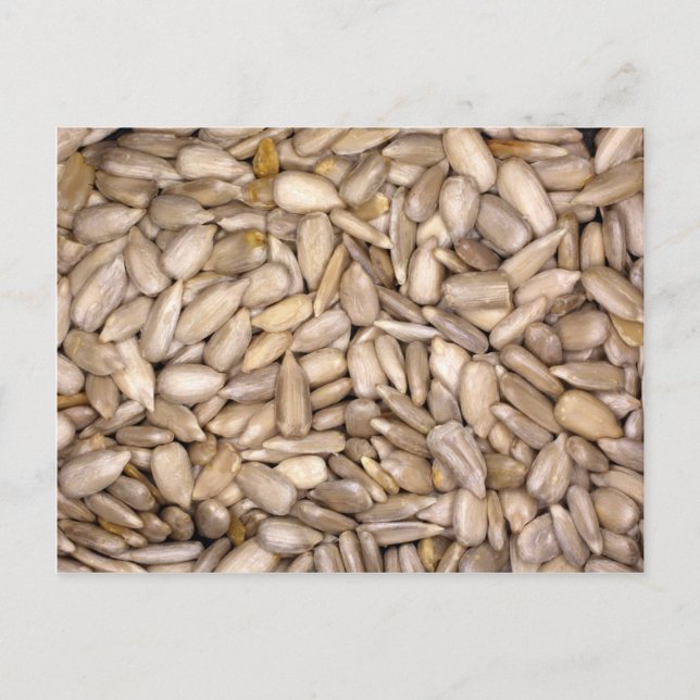 Solrosfrön Vykort (Framsida)