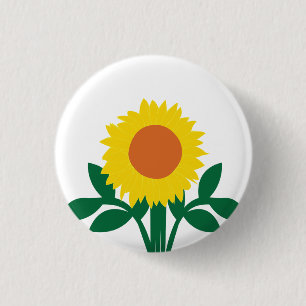 Solrosgul blomster knapp