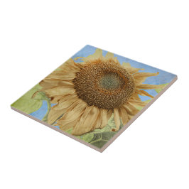 SolrosGult Blue Rustic Garden Land Blommigt Kakelplatta