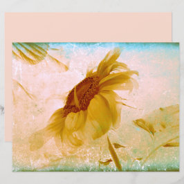SolrosGult Sepia Vintage Antique Struktur