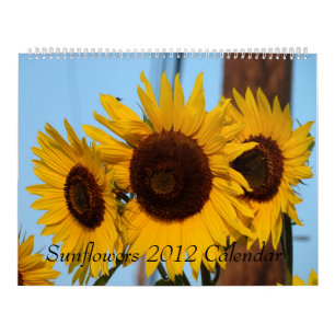 Solroskalender 2012 kalender