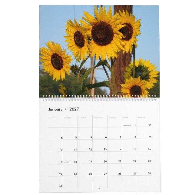 Solroskalender 2012 kalender (Jan 2027)