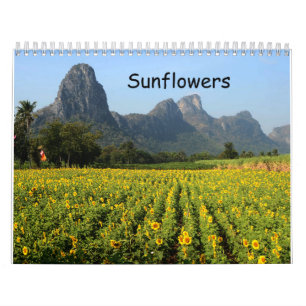 Solroskalender Kalender