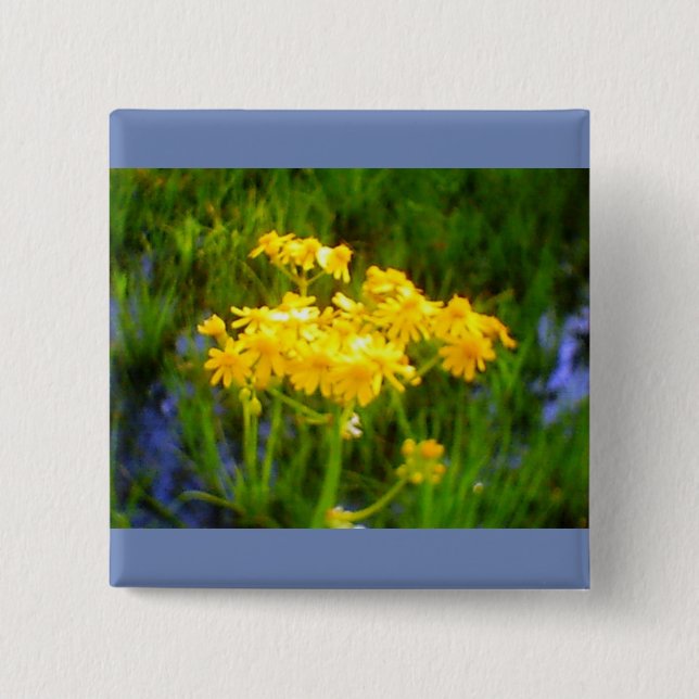 Solrosknapp Knapp (Framsida)