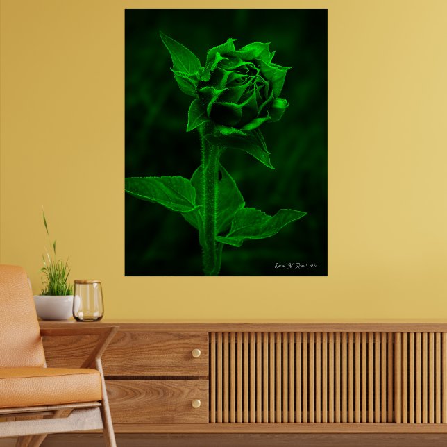 "Solrosknopp"  Poster (Vardagsrum 2)