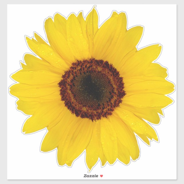 Solroskontur - etikett (Ark)