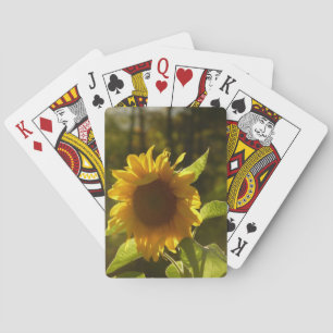 Solroskort Casinokort