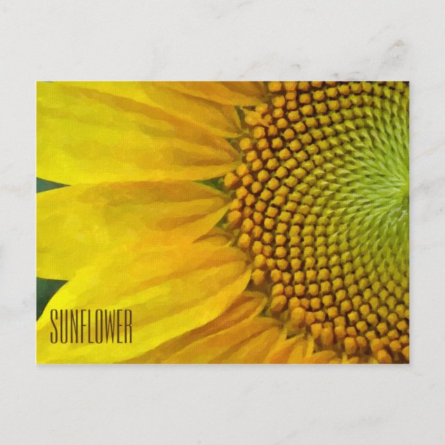 Solroskort Vågrät vykort (Framsida)