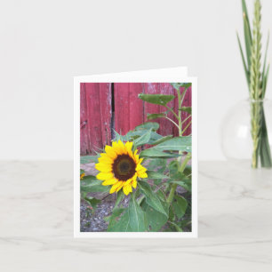 Solroslantgård Notecard Kort