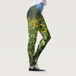 Solroslegeringar Leggings