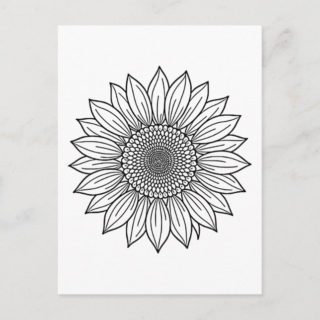 Solrosliknande Blommigt Illustration Line Art Vykort (Framsida)