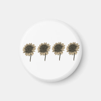 Solrosliv, Laugh, Kärlek Magnet