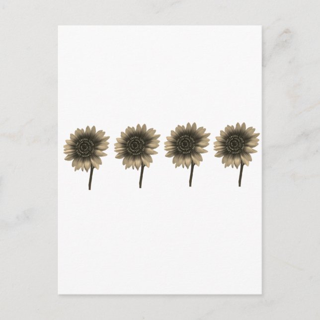 Solrosliv, Laugh, Kärlek Vykort (Framsida)