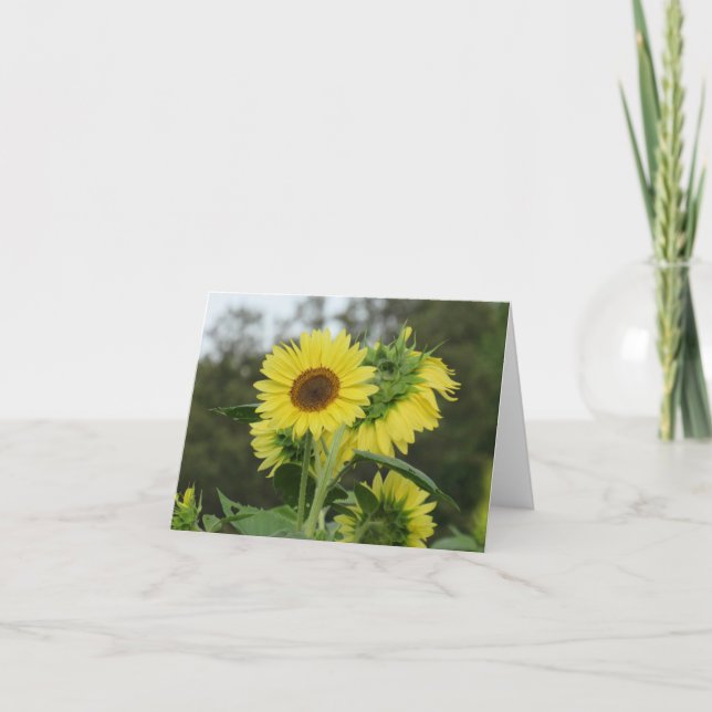 Solrosminneskort för Bright Gult Tack Kort (Framsida)