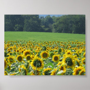 Solrosmobster Poster