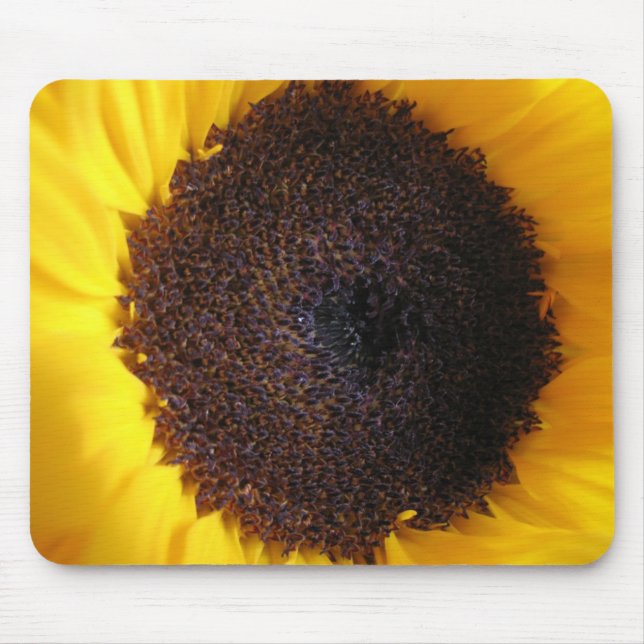 Solrosmusmatta Musmatta (Framsidan)