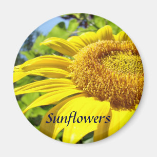 Solrosolagnet Sommarmagnet Sun Flower Blommigts Magnet