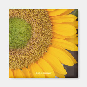 Solrosolens Blomsterfotografi Magnet