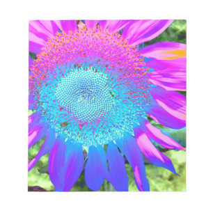 Solrosolfoto med blå rosa funky anteckningsblock