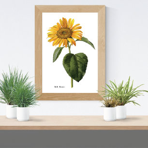 Solrosolja Botanical Mary Eaton Poster