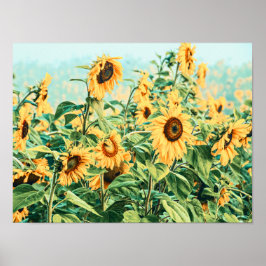 Solrosolja Fält Gult Teal Blommigt Garden Art Poster