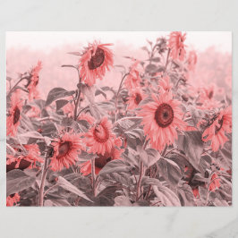 Solrosolja Fält Vintage  Rosa Grått Decoupage