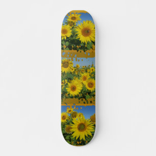 solrosolja i blå himmel sommarkartong old school skateboard bräda 18 cm