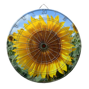 Solrosolja Metall Cage Dartboard Piltavla