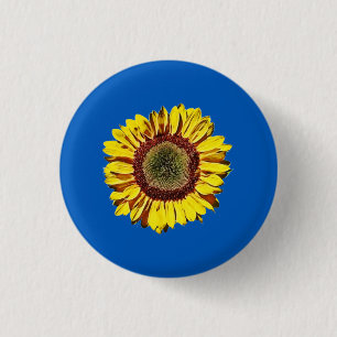 Solrosolja, Ukraina, nationalsymbol, blå bakgrund Knapp