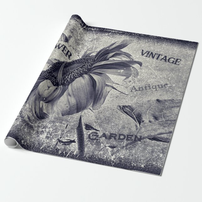 Solrosolja Vintage Black and White Ephemera Strukt Presentpapper (Utrullad)